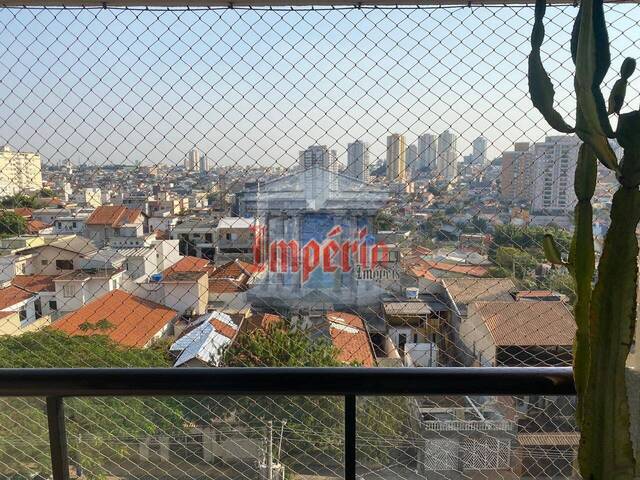 #2017 - Apartamento para Locação em São Caetano do Sul - SP - 3